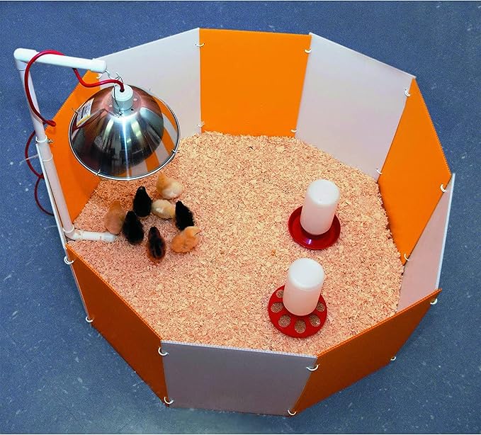 Farm Innovators 3700 Baby Chick Corral Starter Home Coop Kit with 10 Plastic Panels and Adjustable Brooder Lamp Hanger for Up To 15 Chicks (3 Pack)