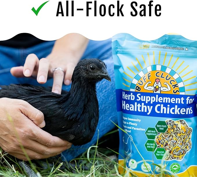 Healthy Chickens Bundle - Herb Supplements for Backyard Chickens and Grub Fuel Black Soldier Fly Larvae - Nutrient Packed Chicken Treats, Poultry Feed