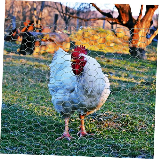 BESPORTBLE Galvanized Chicken Wire Net for Poultry Fencing Hexagonal Metal Wire Mesh for Garden Protection Sturdy and Easy to Install Chicken Fence 50ft Length