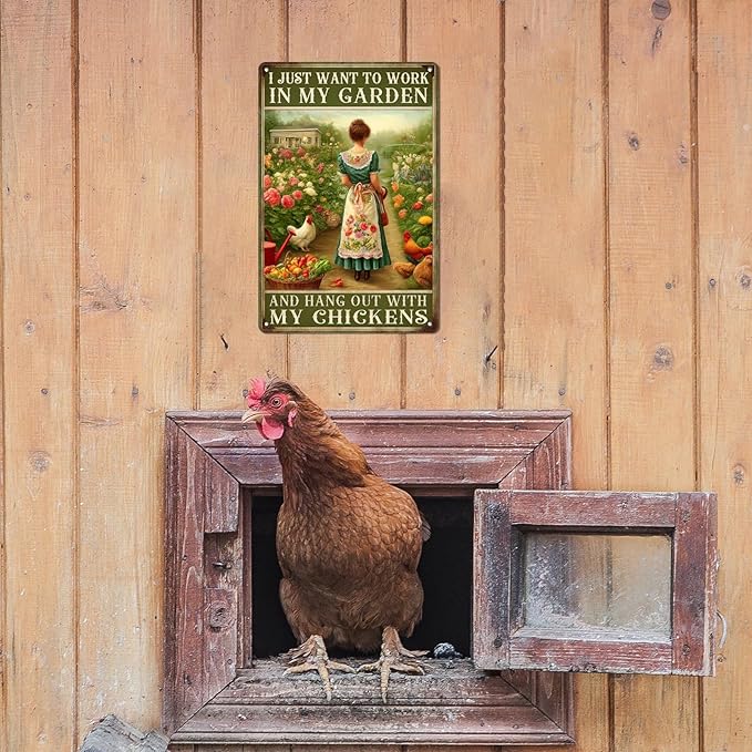 I Just Want to Work in My Garden and Hang Out With My Chickens Metal Tin Sign Outdoor Metal Gardening Girl Poster Vintage Farmhouse Decor Wall Art Home Garden and Chicken Lover Sign 8x12 Inch