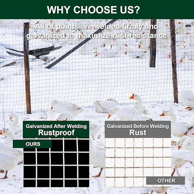 1/8 Inch Hardware Cloth 12'' x 30' 27 Gauge Hot Dip Galvanized Welded Wire Mesh for Chicken House/Coop Fencing, Animal Cage Netting, Bee Swarm Protection Netting and Poultry Enclosures