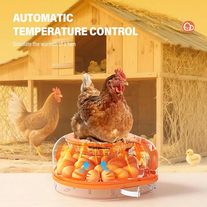 Incubators for Hatching Eggs Smart AI Voice Control 3 in 1 Auto Poultry Incubator Auto Temp Humidity Control Auto Egg Turning 26 Eggs Capacity for Farm Home Chicken Duck Quail Eggs Hatching