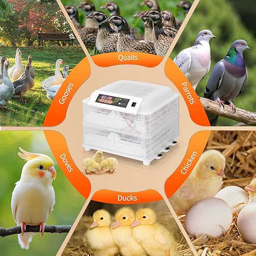 Winado Incubators for Hatching Eggs, 112 Egg Incubator with Automatic Egg Turning & Temperature Control, Egg Candler, and Day Counter for Chicken, Duck, and Quail Eggs Hatching