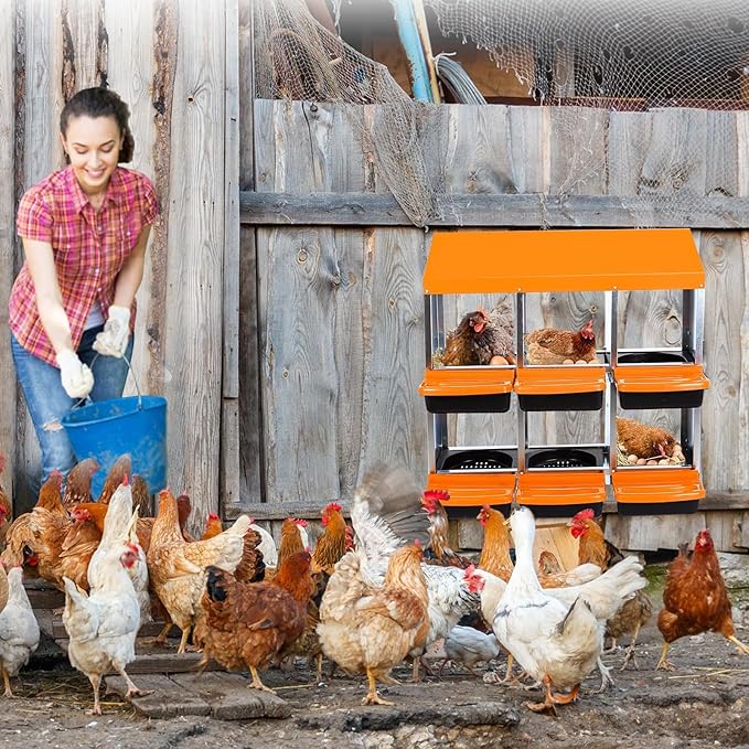 Two-Tier Chicken Nesting Box, 6 Hole Metal Chicken Egg Laying Box with Swing Perch and Rollout Egg Collection Applicable to Coops and Duck Houses Orange.