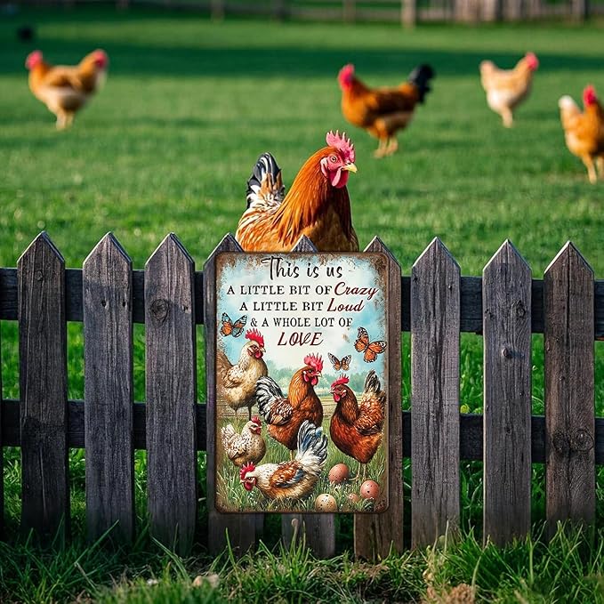 Chicken Metal Sign Chicken Wall Decor This Is Us Wall Decor A Little Bit Of Crazy A Little Bit Loud Chicken Coop Sign Farm Home Garden Yard Poster 12x16 Inch