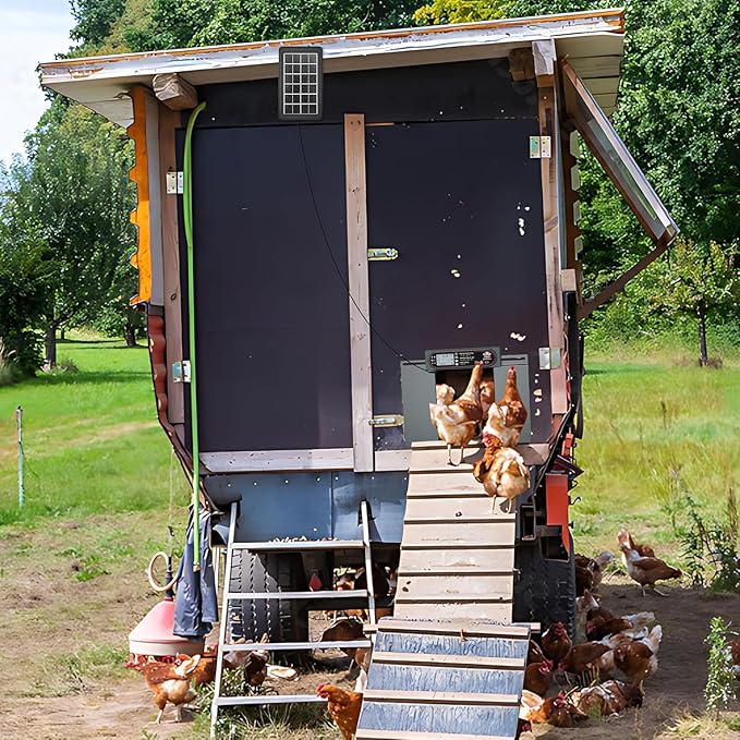 Automatic Chicken Coop Door with Horizontal Dual Opening, Remote & Manual Control, USB Backup, Predator-Proof Larger Opening Size House Door Solar Powered for Chicken, Duck and Poultry