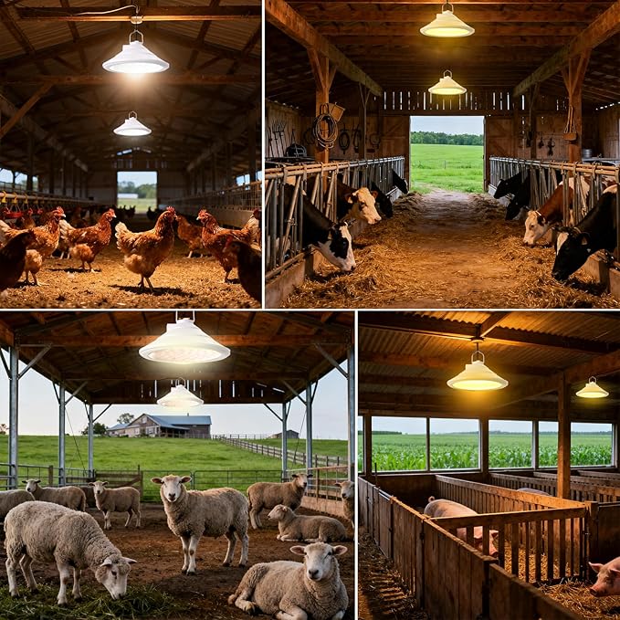 Solar Chicken Coop Light with Timer | Three-Color Dimmable LED, IP66 Waterproof Hanging Ceiling Pendant Light Suitable for Poultry Farms,Coops,Patio,Camping,Garage etc(2pcs)