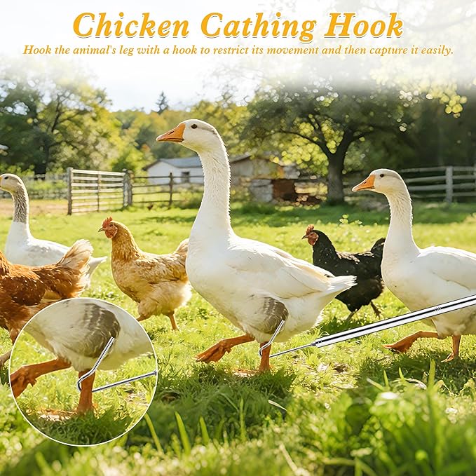 4PCS Chicken Catching Net, Adjustable Chicken Net Catcher, Chicken Catcher Leg Hook, Suitable for Chickens, Birds, Goose, Duckling, Fish, Cats (2 Nets, 1 Pole, 1Hook)