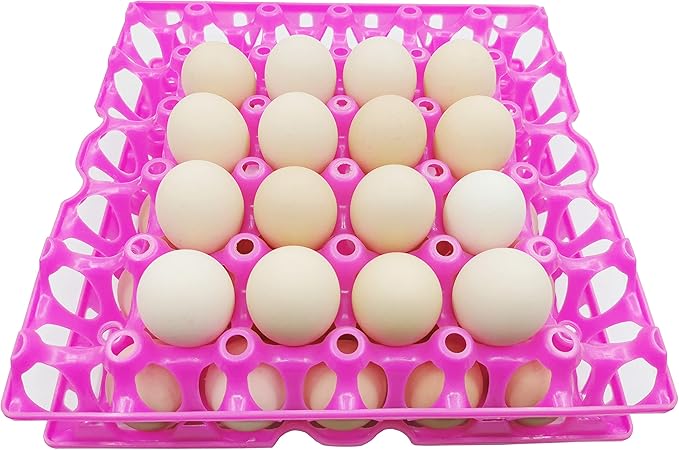 6-Pack Farm Products Chicken Plastic Egg Trays Egg Racks Egg Crate Duck 30 Egg Setting Tray Egg Flats for incubating Carton Transport Poultry Crate (6-Pack Colorful), 11.4 X11.4