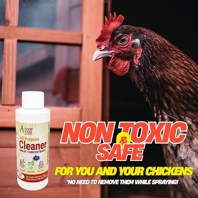 Chicken's Choice Chicken Dust Bath, 6 lb Natural Volcanic Ash Dust Bath for Chickens. Dust Mix for Healthy Chickens, Chinchillas, Small Animals. Made in The USA w/ 4 oz Coop Cleaner (Makes 32 oz)