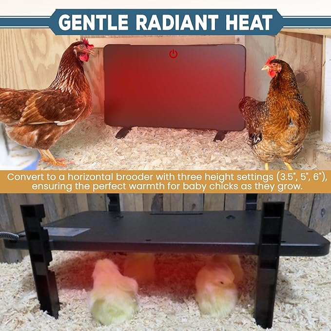 Farm Innovators 2-In-1 Radiant 200-Watt Chicken Coop Panel Heater Converts to 50W Brooder Heater for Chicks, Free Standing or can be Wall Mounted, Hung or Used Horizontally