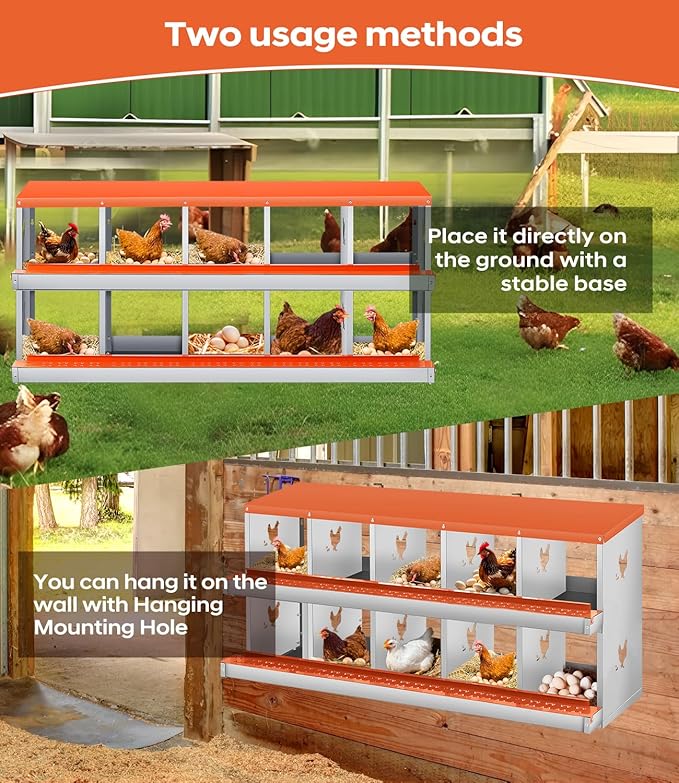 10 Compartment Nesting Boxes for Chickens, Chicken Nesting Box to Protect Eggs, Chicken Laying Boxes, Easy to Clean and Install