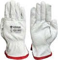 Cestus GU603, Goatskin Leather Work Gloves (1,3,12,120 Pairs)