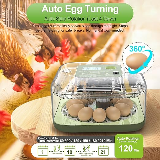 Incubators for Hatching Eggs, 12 Eggs Capacity, Egg Incubator with Automatic Egg Turning and Humidity Control for All Poultry - Chickens, Ducks, Quails, Turkeys, and More (Green)