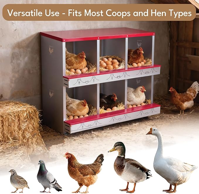 6 Hole Chicken Nesting Box for Laying Hens - Automatic Rollout Egg Collection, Heavy Duty Metal Nesting Boxes with Swing Perch for Chicken Coops, Secure & Easy Clean Poultry Nest Box