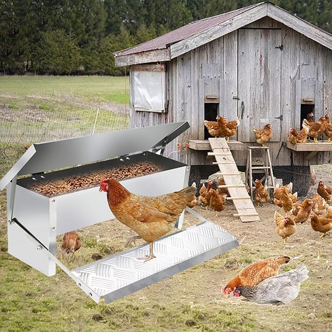 Automatic Chicken Feeder, Large Metal Poultry Feeder with Chicken Feeders No Waste Auto Food Dispenser for Chickens Capacity Coop Accessories Food for Laying Hens