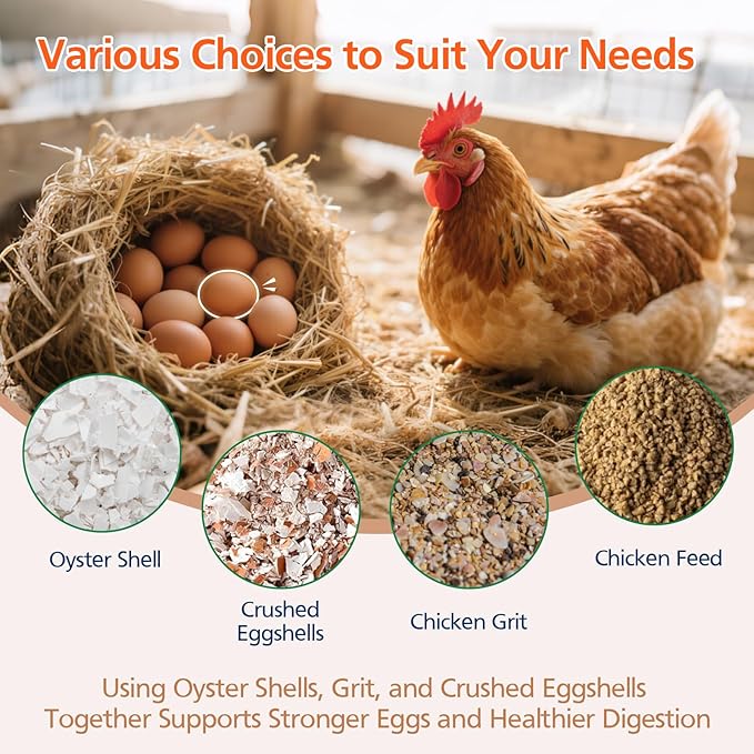 US Patent Pending 2 Pack Chicken Oyster Shell and Grit Feeder for Hens – Heavy-Duty Metal Chicken Feeder with Rounded Edges – Chicken Coop Accessories Improve Eggshell Quality and Hen Health