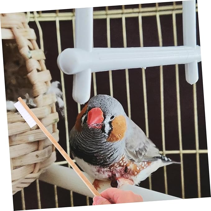 BESPORTBLE 2Pcs Bird Cage Cleaning Brush Set Durable Droppings Scoop Brush for Efficient Bird Cage Cleaning Essential Pet Accessories for Maintaining Bird Health and Comfort