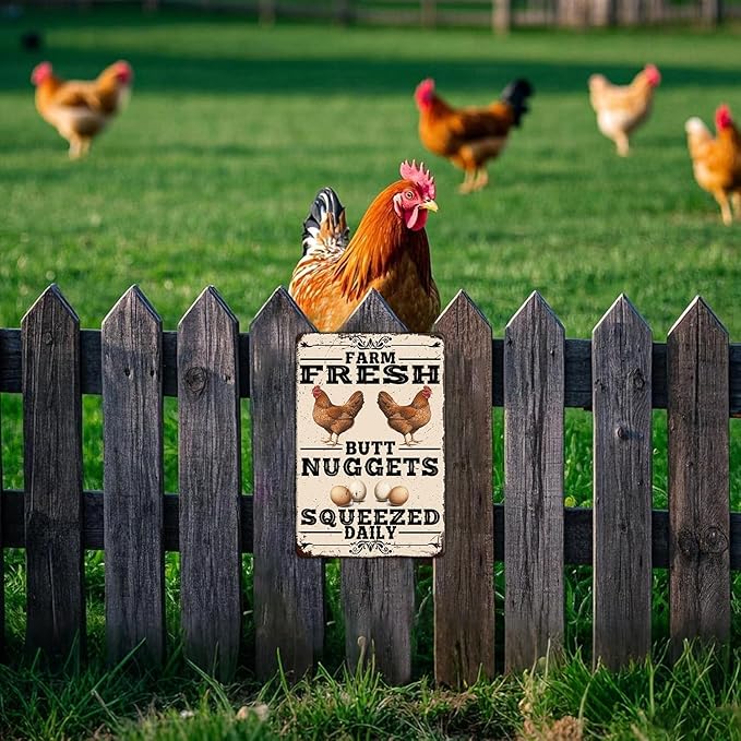 Funny Chicken Coop Tin Sign Vintage Farm Fresh Butt Nuggets Chicken Metal Sign Home Kitchen Outdoor Farmhouse Garden Wall Decor Poster 12x8 Inch