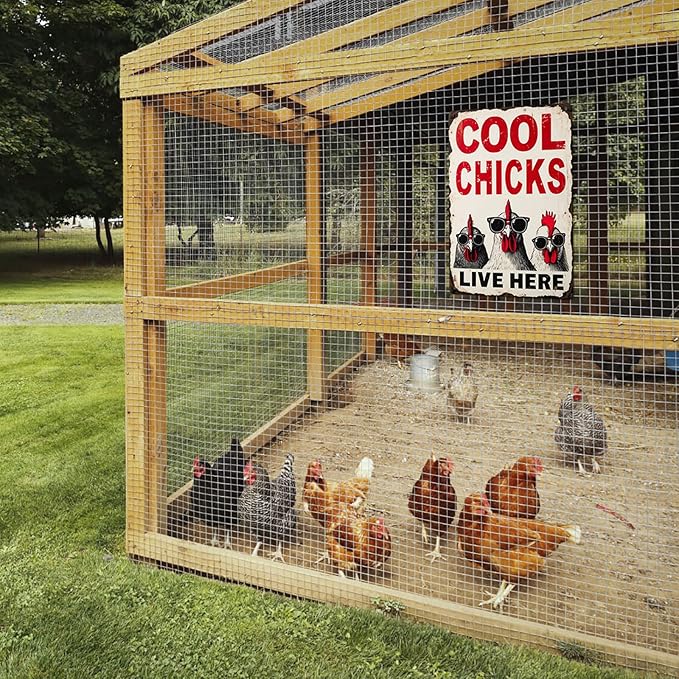 Cool Chicks Live Here Metal Tin Sign for Home Farmhouse Chicken Coop Home Kitchen Wall Decoration Chicken Coop Accessories Decor Wall Art 8x12 Inch