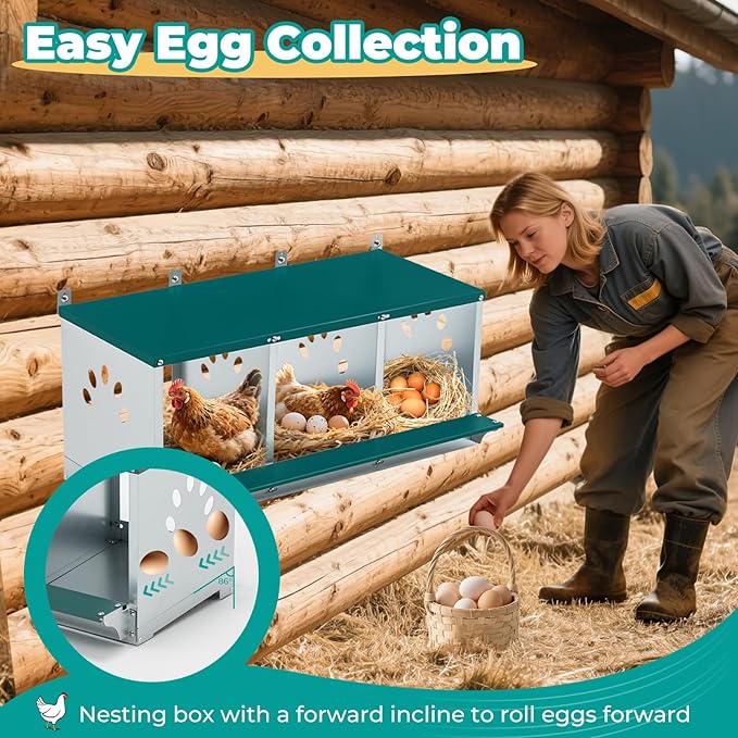 Chicken Nesting Box for Laying Eggs, Metal Chicken Laying Boxes Wall Mountable, Easy Egg Collection Roll Away Nesting Boxes Chicken, Chicken Coop Nesting Boxes for Hens, 3 Compartments