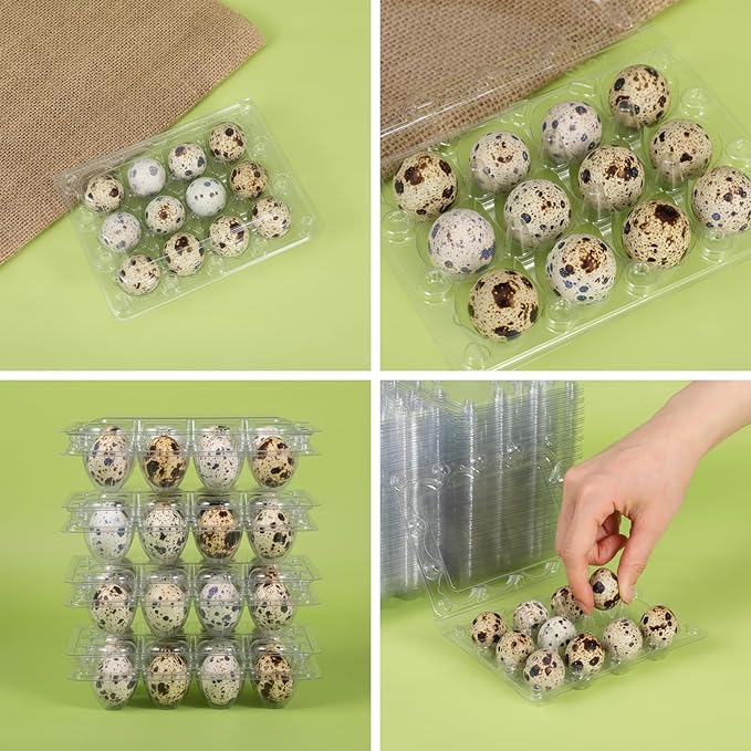 60 Pcs Quail Egg Cartons, 12 Grids Clear Plastic Square Classical 3x4 Style Egg Cartons, Quail Egg Holder Reusable Small Egg Carton Storage Holders Bulkfor Refrigerator