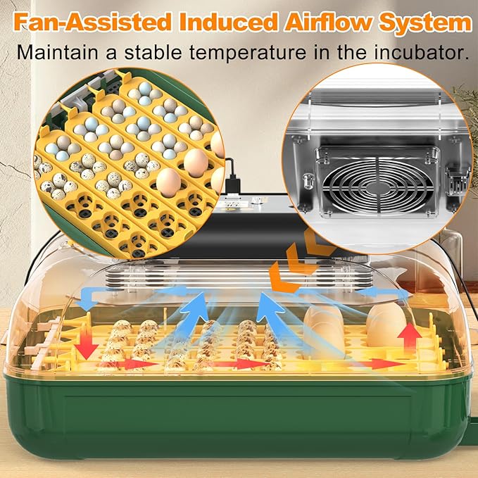 49 Egg Incubator for Hatching Eggs with Automatic Egg Turning, Temperature & Humidity Display, Hatch Day Countdown, Auto Water Refilling System, Egg Candler, Multifunctional Egg Tray for Chicken