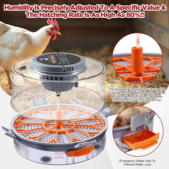 Chicken Egg Incubator 12-40 Eggs - Automatic 760° Egg Turner with Digital Display, Auto Temperature Humidity Control for Hatching Chicken Duck Quail Eggs, High Hatch Rate Poultry Incubator