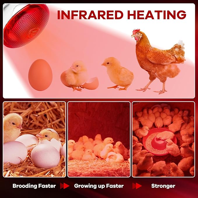 Heat Lamp Bulb for Chickens, Red Heat Lamp Infrared Light Bulb with Power Cord Hanging Chain for Chicks