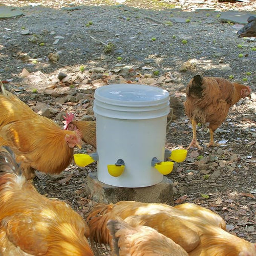 (5 Cups) Chicken Water Cups Feeder, Automatic Chicken Waterer, Anti-Leak System, Holds 50% More Water, Suitable for Chicks, Chicken, Duck, Quail, Turkey