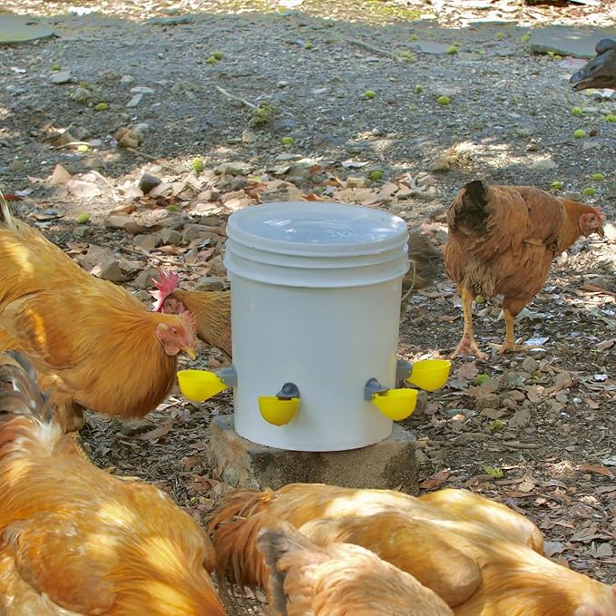 (4 Cups) Chicken Water Cups Feeder, Automatic Chicken Waterer, Anti-Leak System, Holds 50% More Water, Suitable for Chicks, Chicken, Duck, Quail, Turkey