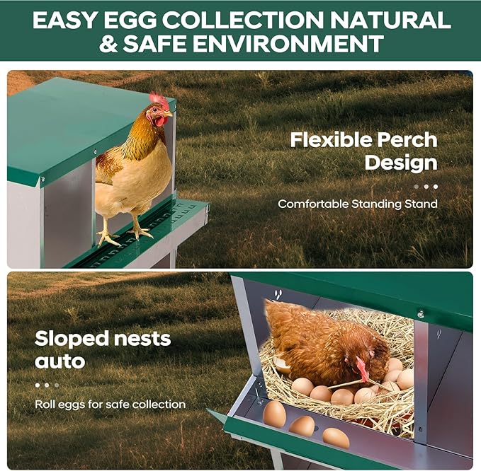 6-Hole Chicken Nesting Box, Rustproof Galvanized Steel, Wall-Mounted Metal Laying Box for Hens, Easy Egg Collection & Cleaning, Roll Away Nest Boxes - Green
