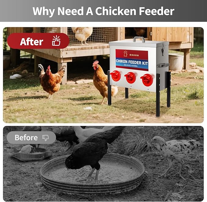 RYFT Chicken Feeder Box 30 Lbs-6 Feeding Port, Galvanized Metal No - Waste Poultry Feeder with Adjustable Legs & Locking Lid