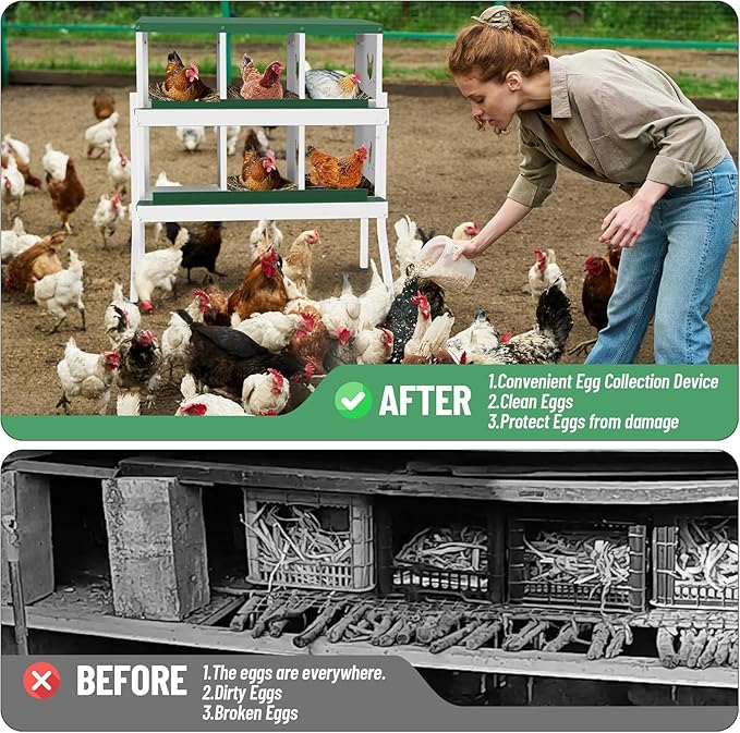 Metal Chicken Nesting Boxes, Heavy-Duty Galvanized Steel Egg Laying Box with 6 Compartments, Rustproof, Easy to Install & Clean, Wall-Mountable Design for Poultry Coops- Green with Stand