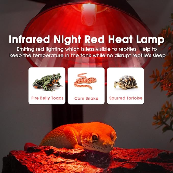 Briignite G9 Infrared Heat Lamp Bulbs for Reptile, Mini Reptile Light, Dimmable Night Red UVA Reptile Heat Lamp, 2 Pin Base Mini Heat Bulbs 50W, Bearded Dragon Turtle Lizard, 2Pack