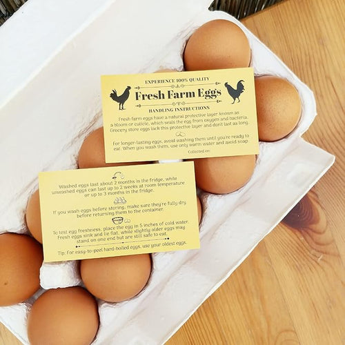 100 Pack Premium Fresh Farm Eggs Handling Instructions Care Accessories Cards Labels | Egg Blank Cartons 4 6 12 15 18 30 48 50 Count Basket Box Container Storing Extra Organizer -M10CH100