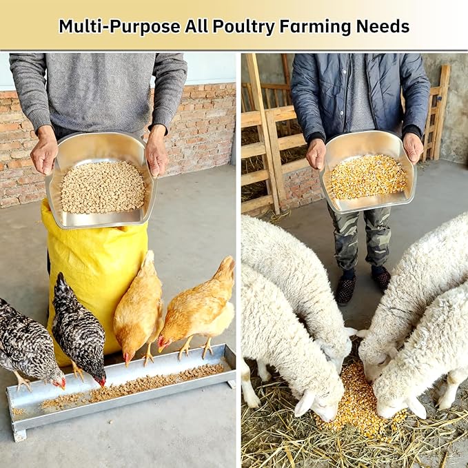 Transfer-Focused Chicken Poop Scooper for Coop, Multi-Purpose Stainless Steel Hand Scoop for Transferring Manure, Chicken Sand, Litter, Bedding, Trash & Chicken Feed, Essential Coop Supplies
