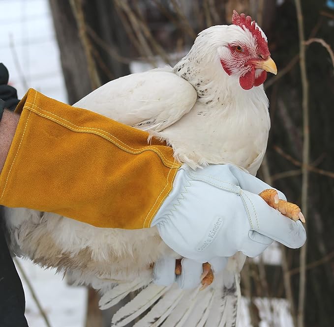 Suse's Kinder Animal Handling Gloves Leather Padding Dog,Cat Scratch,Bird Falcon Gloves Grabbing Reptile Squirrel Snake Bite