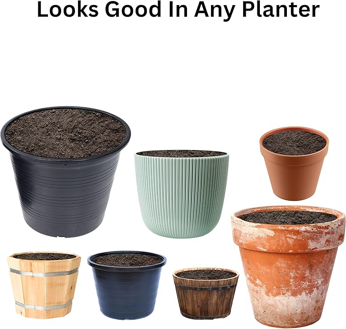 Premium Compost and Manure Bundle: Ideal Compost Starter and Vegetable Fertilizer for a Thriving Outdoor Vegetable Garden - Boosts Soil Quality! 1 Quart