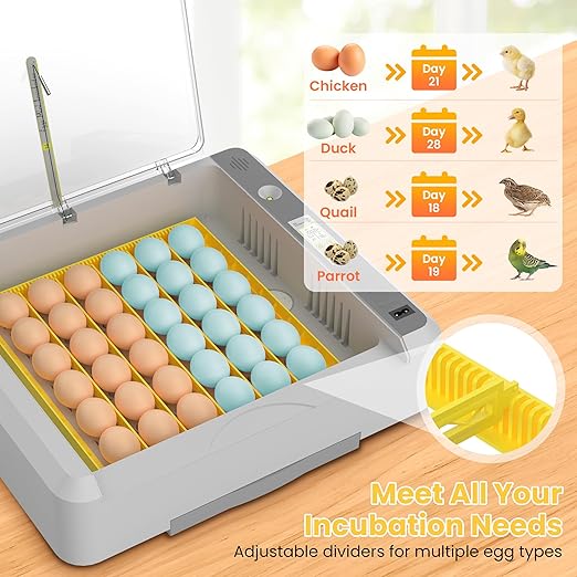 36-60 Egg Incubator with Automatic Egg Turning and Humidity Control, Adjustable Chicken Egg Incubator with Digital Display, for Hatching Eggs Include Chicken Duck Quail Eggs(Yellow)