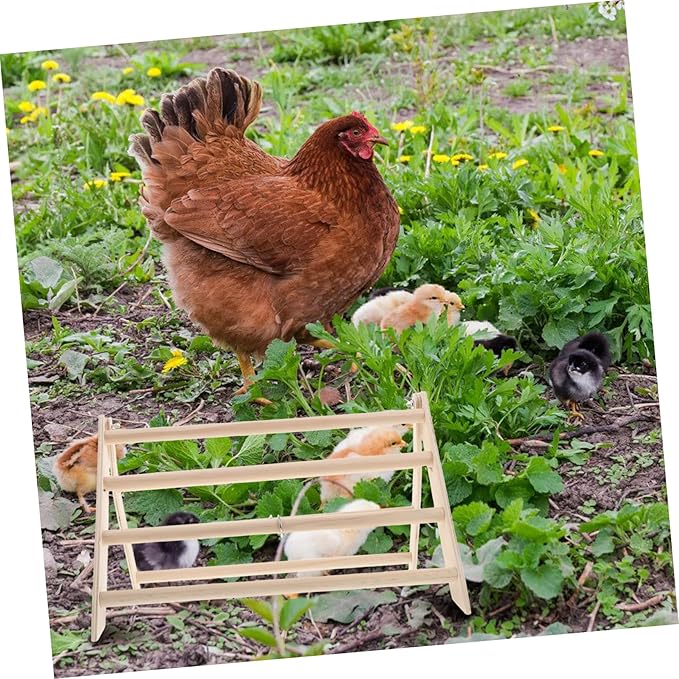GALPADA Chicken Perch Stand for Chicks Roosting Bar for Coop Accessories Resting for Chickens and Poultry Sturdy Design for Secure Perching