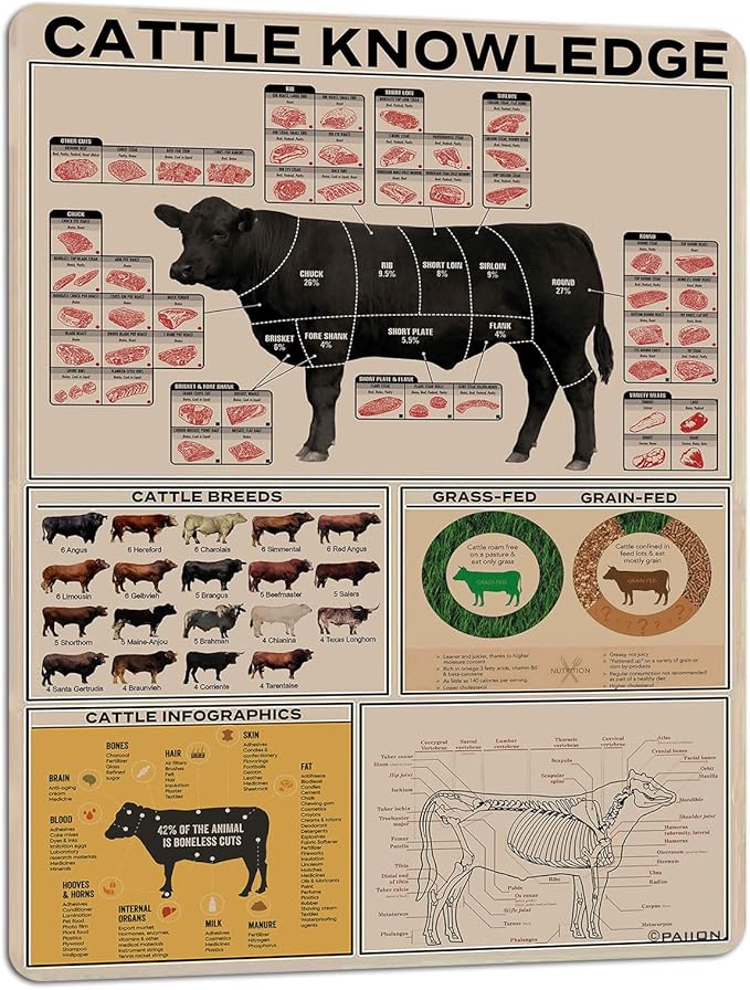 PAIION Cattle Knowledge Metal Tin Sign Breed Information Poster Animal Farm Anatomy Club School Educational Wall Decoration 16x12 Inch