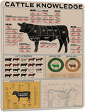 PAIION Cattle Knowledge Metal Tin Sign Breed Information Poster Animal Farm Anatomy Club School Educational Wall Decoration 16x12 Inch