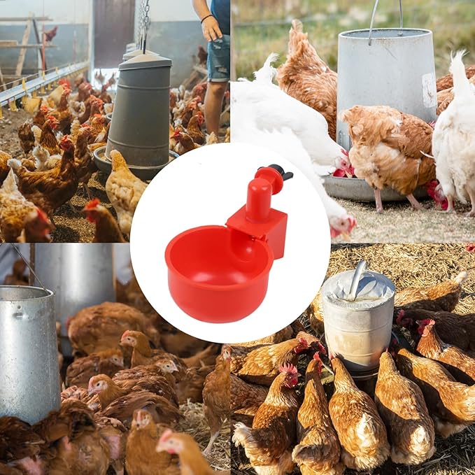 6 Pack Large Automatic Poultry Waterer Cups with Mounting Hole Opener, Plastic Chicken Water Feeder Bowls Kit for Chicks, Duck, Goose, Turkey and Bunny