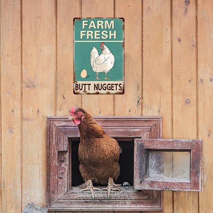 Farm Fresh Butt Nuggets Metal Tin Sign Vintage Chicken Coop Metal Sign Rustic Farmhouse Decor for Kitchen Outdoor Charming Wall Plaque for Home Garden 8x12 Inch