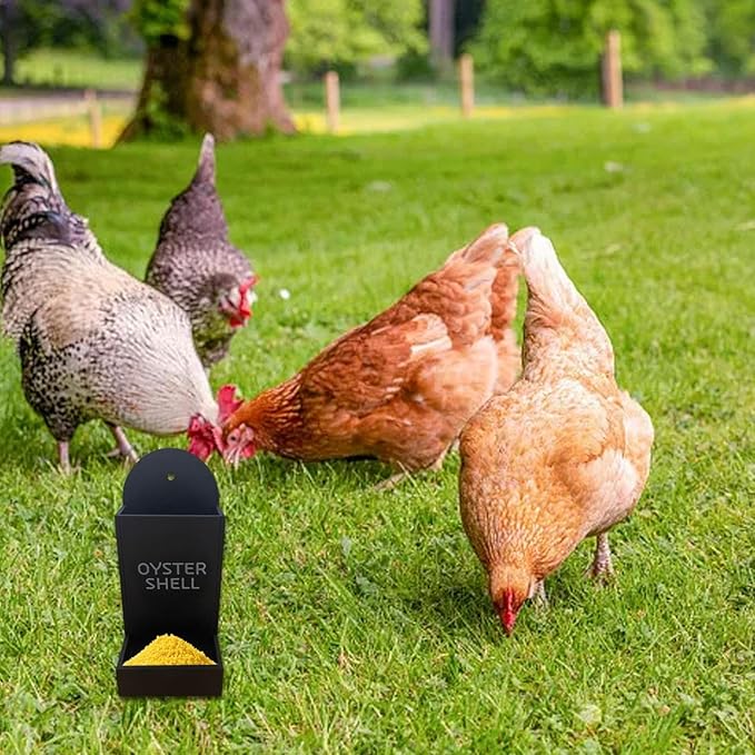 Gravel Feeder - Oyster Shell and Grit Feeder, Versatile Oyster Shell Feeders for Chickens,Hanging Chicken Feeders Trough,Precision Nutrition, Chickens Coop Accessories for Poultry (Black)