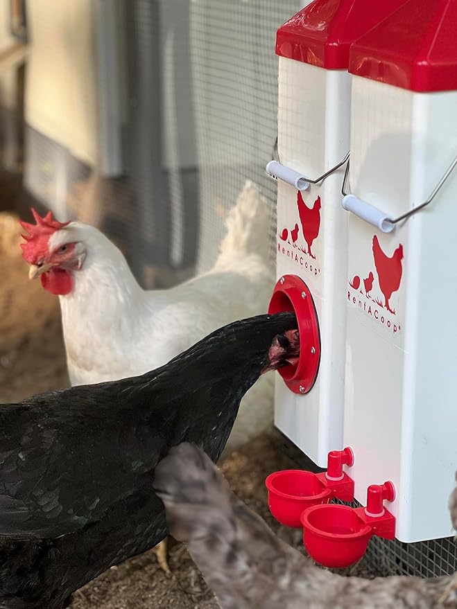 RentACoop Twin Cup Chicken Waterer and Feeder Set - 10lbs/2 Gal