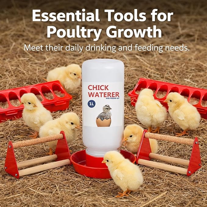 Chick Feeder and Waterer Set, 5 Pcs Baby Chicken Supplies with Chicks Feeder Trough, 1L Waterer and Perch, Chicken Starter Kit for Small Poultry Ducks Quail Brooder Coop