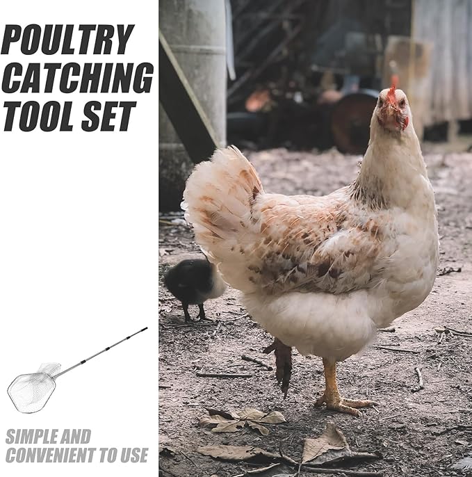Hemoton Poultry Catching Net: Stainless Steel Chicken Net for Chickens Ducks Cats Dogs Fishnet Catcher Poultry Supplies