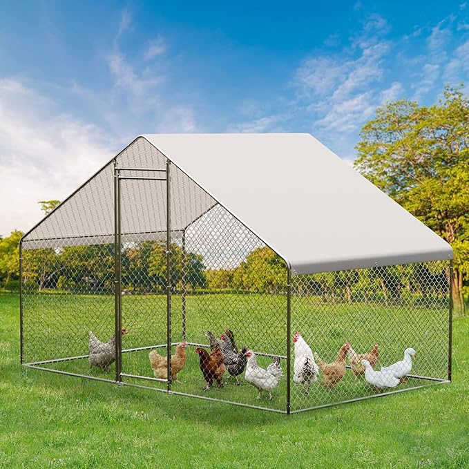 Large Walk-in Metal Chicken Coop with Run – 9.8L x 6.5W x 6.5H Outdoor Chicken Runs with Galvanized Steel Frame, Waterproof & UV-Resistant Cover, Spire Roof for Yard, Farm, Chickens, Ducks & Rabbits